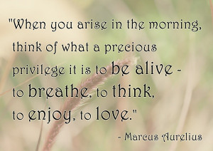 precious privilege life quotes share this life quotes on facebook