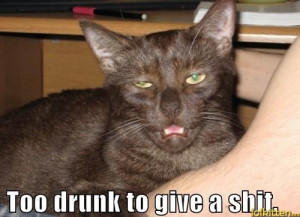 ... Pictures more drunk cats i hate mondays i hate it too funny quotes