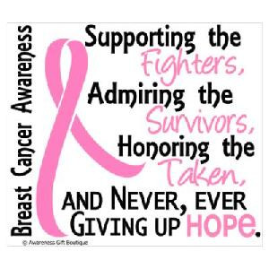 2015: AVON 39 The Walk to End Breast Cancer: Washington DC