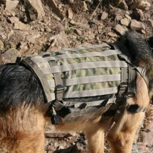 ... , Handy Stuff, Wars Dogs, Service Dogs, German Shepherd, Molle Vest