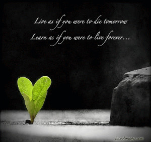 Please Forgive Me Please Forgive Me Quote