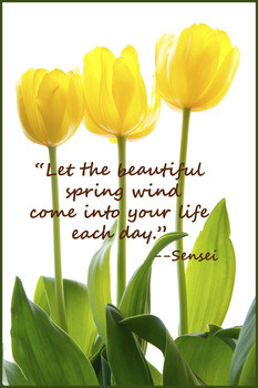 ... Tulips Illustrate Sensei Quote Inviting Spring Wind into Our Life