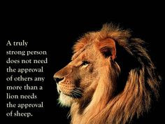 Quotes Wallpaper: Lion quote