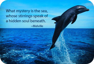 Dolphin Meaning and Dolphin Symbolism