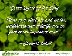 ... Stewart Udall #environment #quote #ecofriendly #wildlife #wilderness