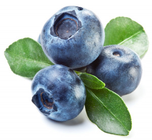 blueberries_84023236.jpg#blueberry%20900x832