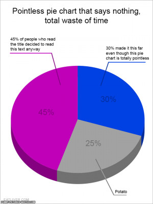 Pointless Pie Chart, Total Waste of Time | Funny Pictures and Quotes