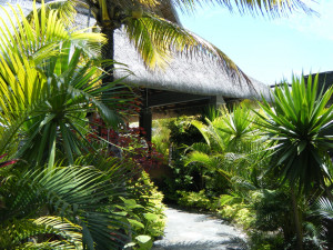 hotel gardens photo de veranda palmar beach belle mare