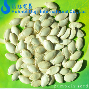 ... sunflower seeds Big black sunflower seeds and Oil sunflower seeds 562