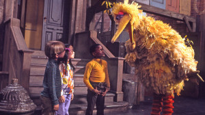 Big Bird's precise species is unknown, and over the years, there have ...