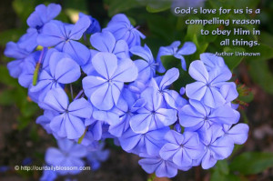 ... us is a compelling reason to obey Him in all things. ~ Author Unknown