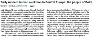 Several Upper Paleolithic European specimens show high cural