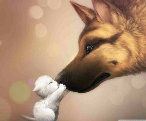 Kitten kissing a dog's nose