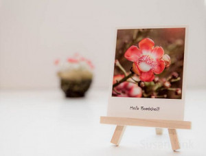 Mini Photograph Magnet Quote Hello Bombshell Inspirational Love Gift ...