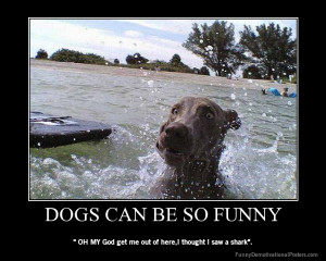 dog funny videos dog funny quotes dog pictures dog jokes cat funny ...