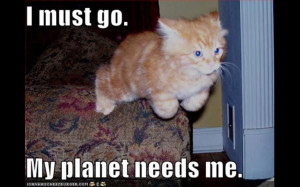 lol cats Magical Kitty!