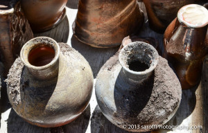 19 images for i has a bucket walrus walrus face