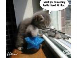 Funny cat pictures sayings | Jokes Quotes Pictures