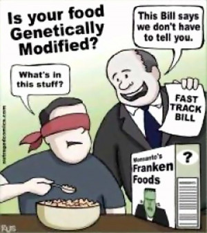 TASTE TEST ON OUR KIDS GOING COMING TO A STORE NEAR YOU!