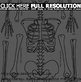 bones halloween skeleton bones halloween skeleton bones halloween ...