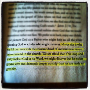 Radical. David Platt.