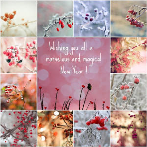 Holiday Quote – Wishing You happy new year