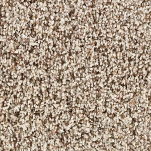 Martha Stewart Living - Boldt Castle (T) Buckwheat Flour Tweed Carpet ...