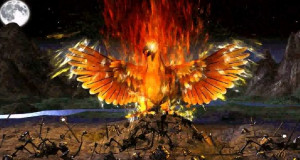 Phoenix Bird Fire Mythological