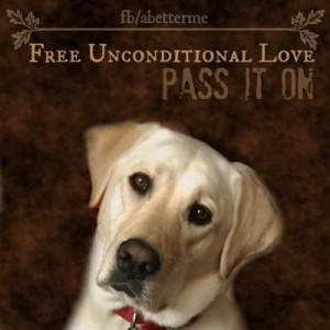 each other the way Labs love, it would be Heaven! Free Unconditional ...