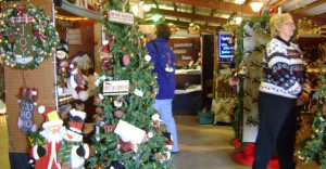 Christmas Trees Wreaths And