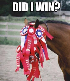 Funny Quotes about Horse Riding