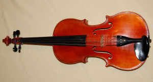 Viola Instrument Jaegar viola case in fair