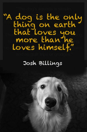firmly believe that a loyal dog is the only being on this planet ...