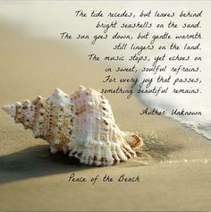 Seashell Quotes And Sayings. QuotesGram
