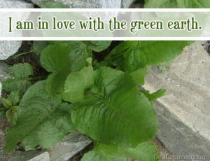 Love With The Green Earth