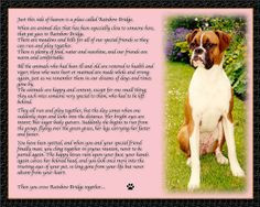 Rainbow Bridge Dog | Rainbow Bridge Poem for Rosie the Boxer Dog ...