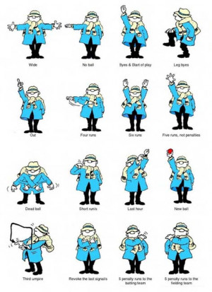 Umpire Signals Image Credited