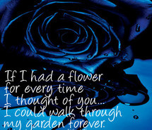 Blue and Black Roses with Quotes