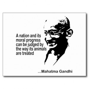 Mahatma Gandhi Animal Quote Post Cards Zazzle