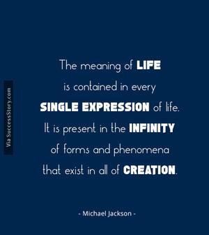 The meaning of life is contained in every single expression of life ...