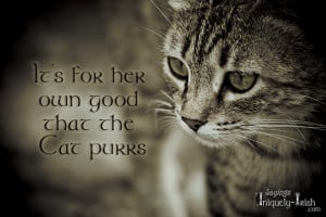 It’s for her own good that the Cat purrs”