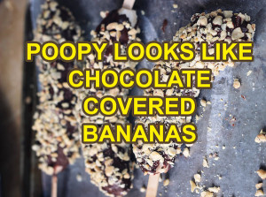 Bathroom Graffiti Quotes Give New Meanings To Images In Motivational ...