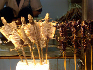 Funny Quotes Contact Dmca