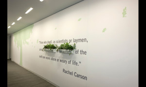 ... tree and a quote by environmentalist Rachel Carson. (Photo: Alan