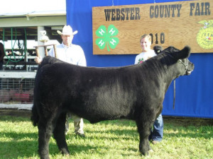 ... Showman ship trophy and was Overall Champion Showman at the Webster