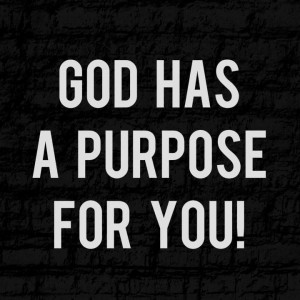 god has a purpose for you