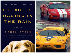The+Art+of+Racing+in+the+Rain+Book+Club+20111.jpg