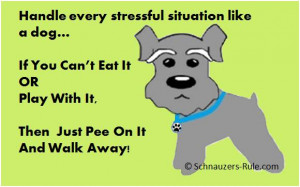 dog-stress.jpg