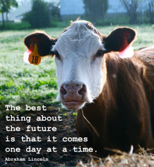 ... that it comes one day at a time. —Abraham Lincoln (HobbyFarms.com