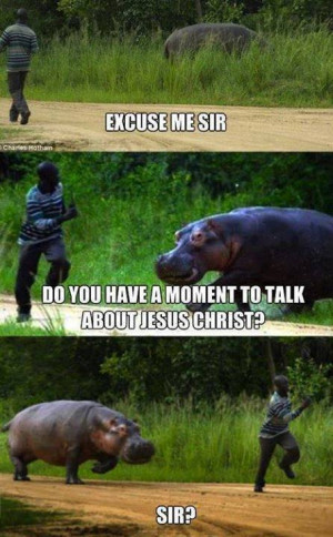 ... Funny Animals , Funny memes , Funny Pictures // Tags: Funny hippo meme
